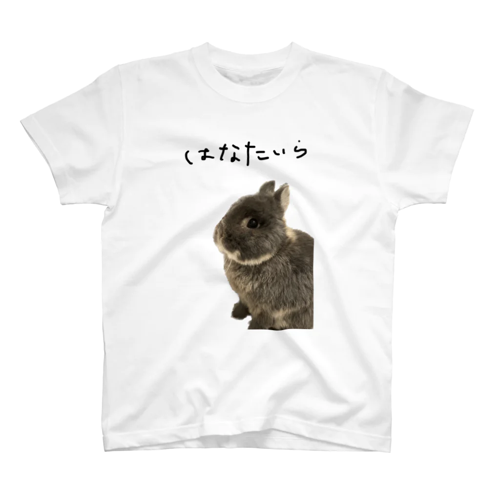 ウォンバット&うさぎのルイのはなたいら スタンダードTシャツ