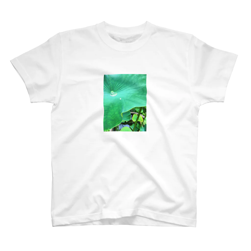 鹿美写真館の蓮の葉 Regular Fit T-Shirt