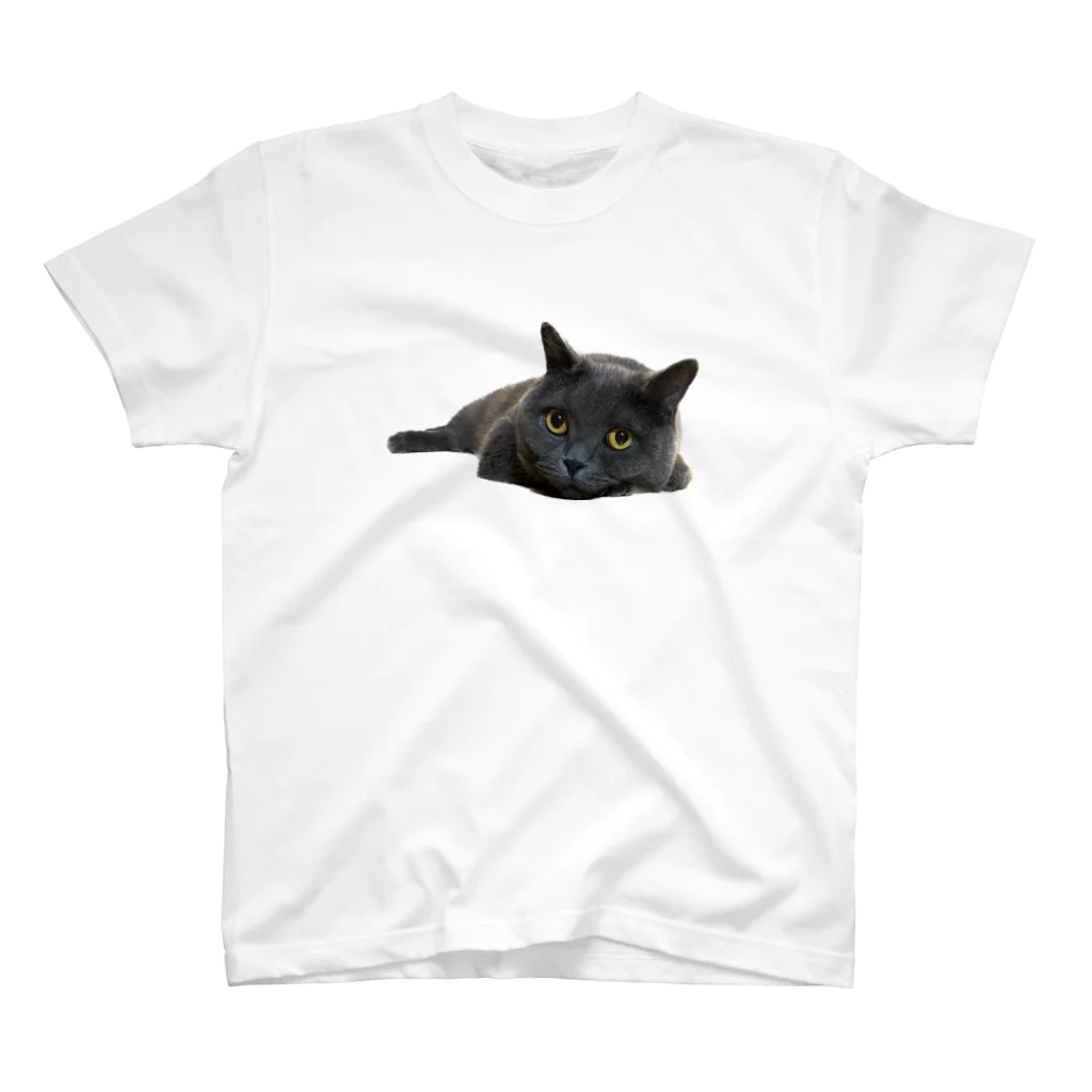 こうのだいのネコのQ太郎 スタンダードTシャツ