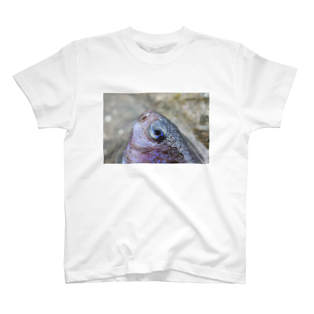 Aiko Nakanoの死んだ魚の目_ソラスズメダイ_20180825_0639 スタンダードTシャツ