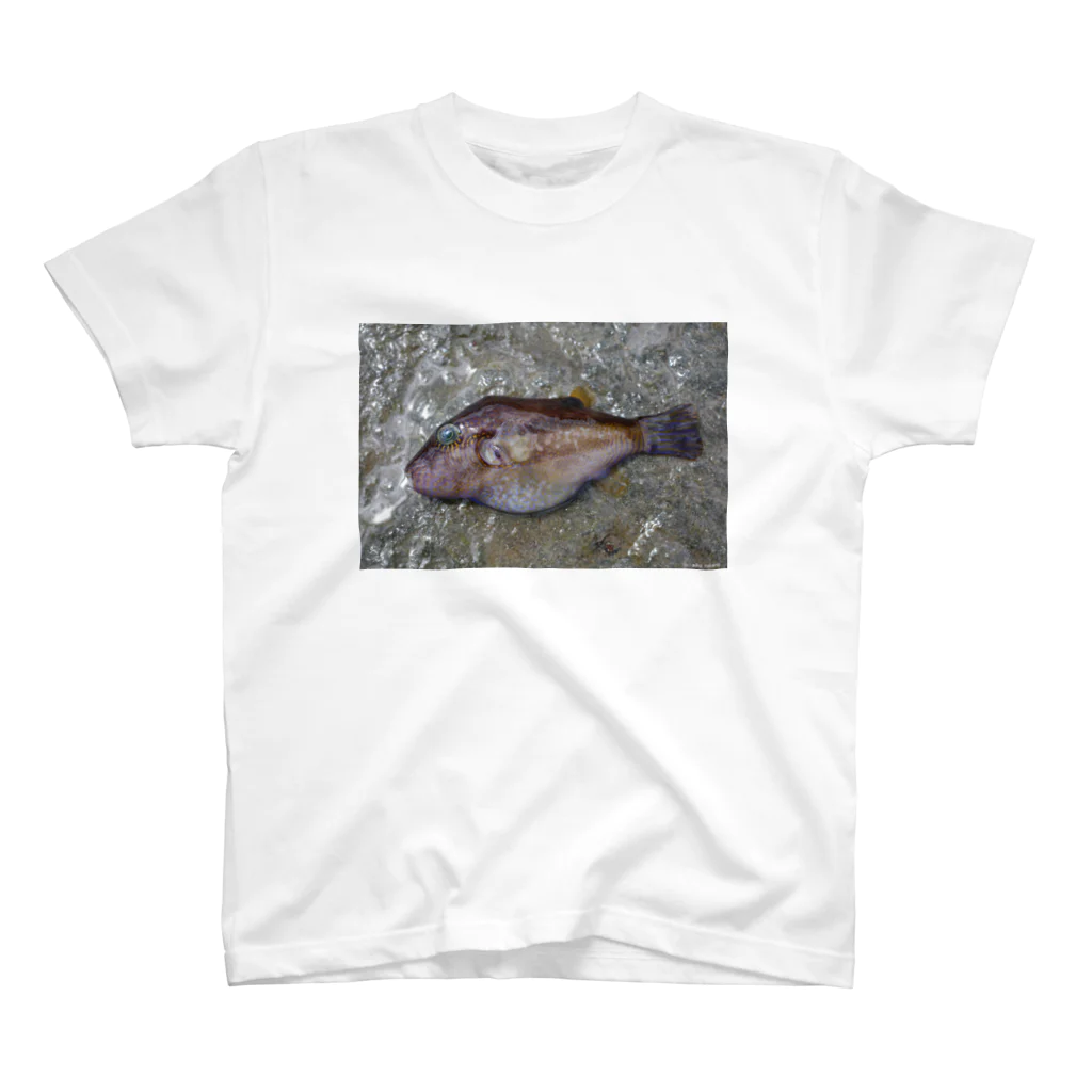 Aiko Nakanoの死んだ魚の目_キタマクラ_20180825_0648' スタンダードTシャツ