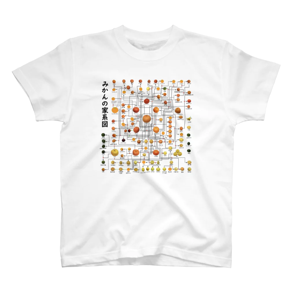 みかんノートのみかんの家系図 Regular Fit T-Shirt