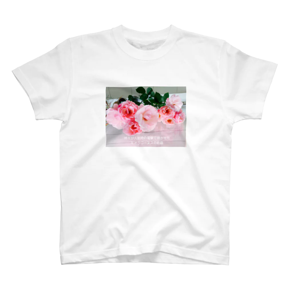 Allegretto の例のアレ-薔薇バージョン- スタンダードTシャツ