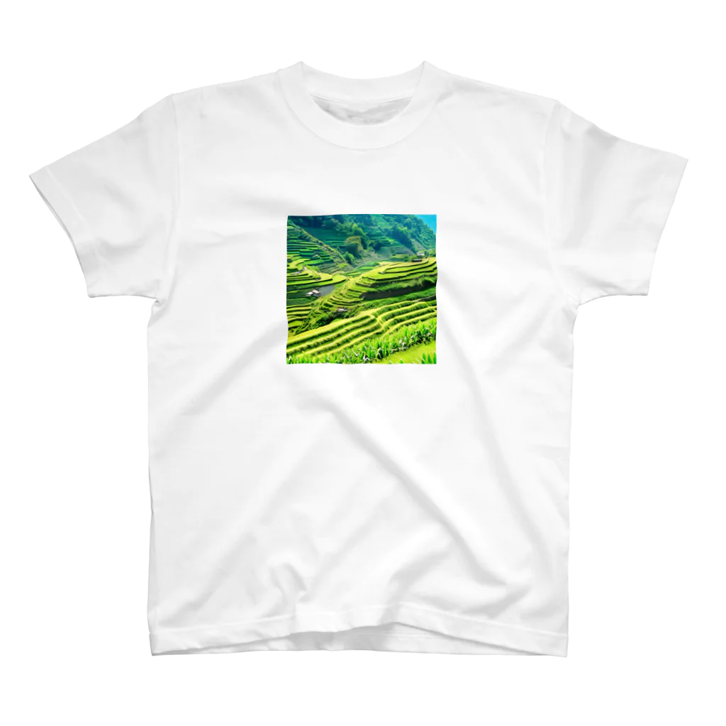 dolphineの日本の原風景　棚田 Regular Fit T-Shirt