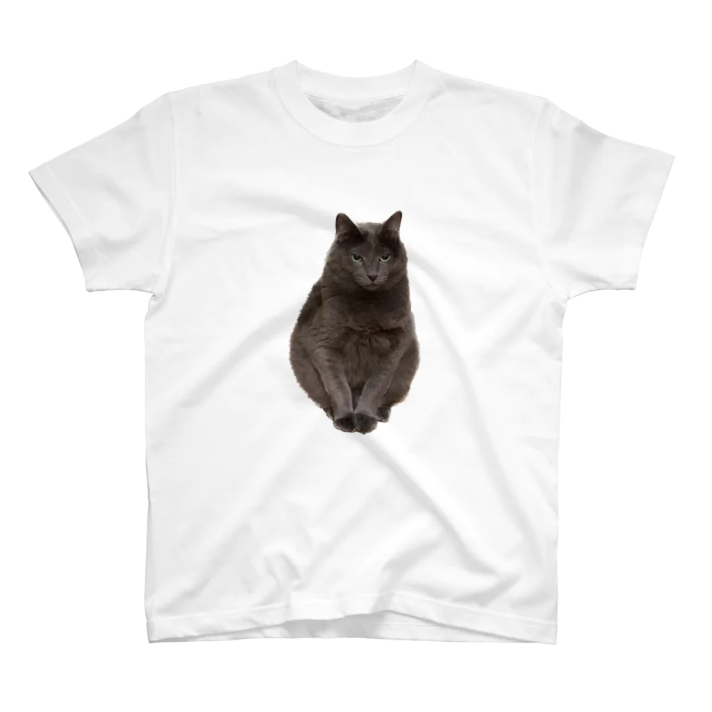 ふぇっとのうちの猫　弐 Regular Fit T-Shirt