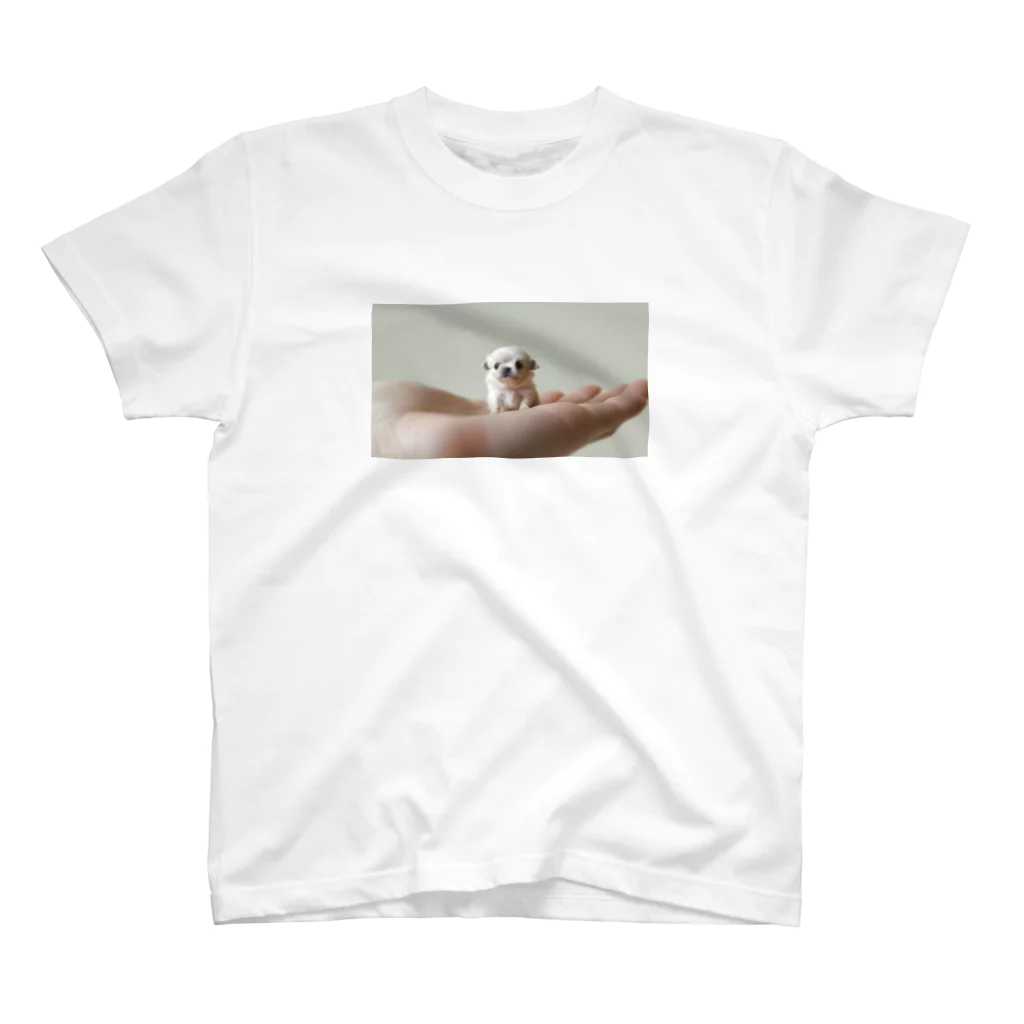 手のひらDogsの手のひらDogs スタンダードTシャツ