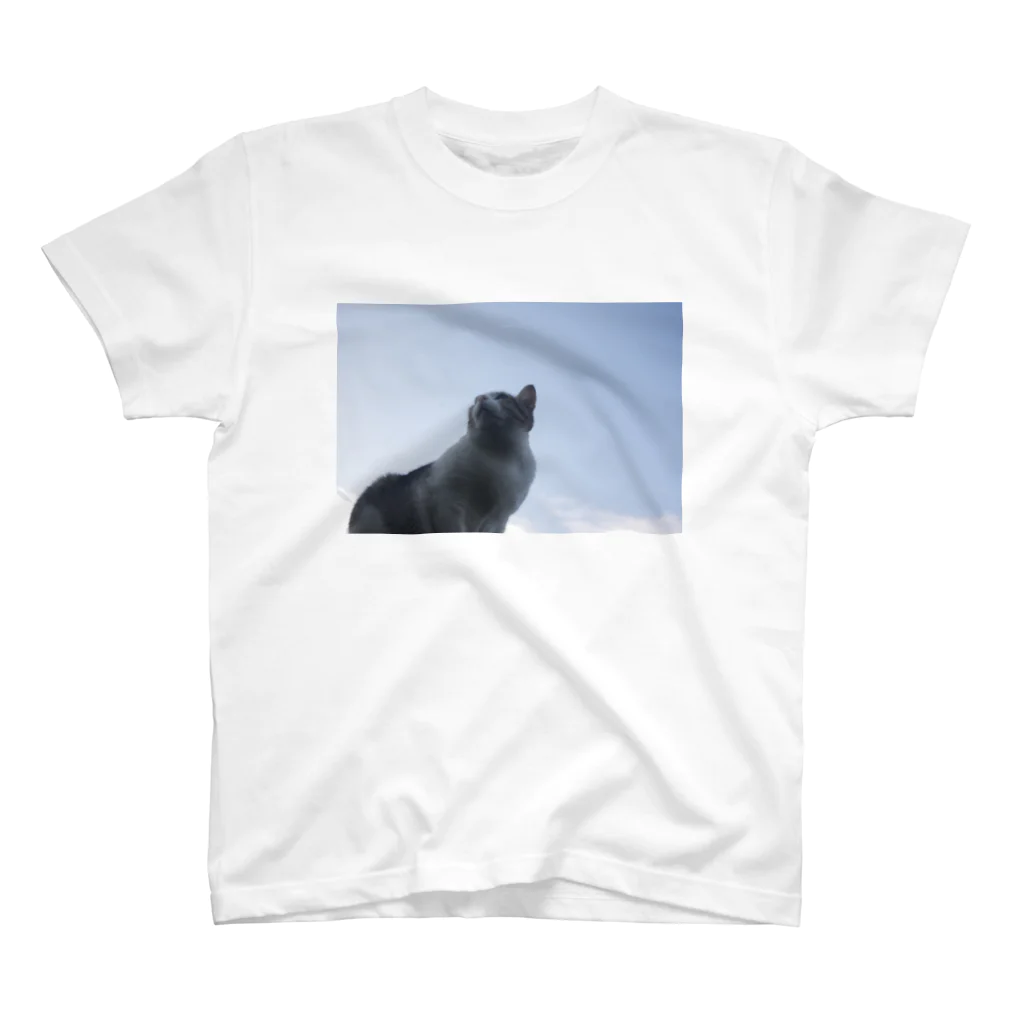 Robin_Hiroshimaの台湾で出会った猫さん スタンダードTシャツ