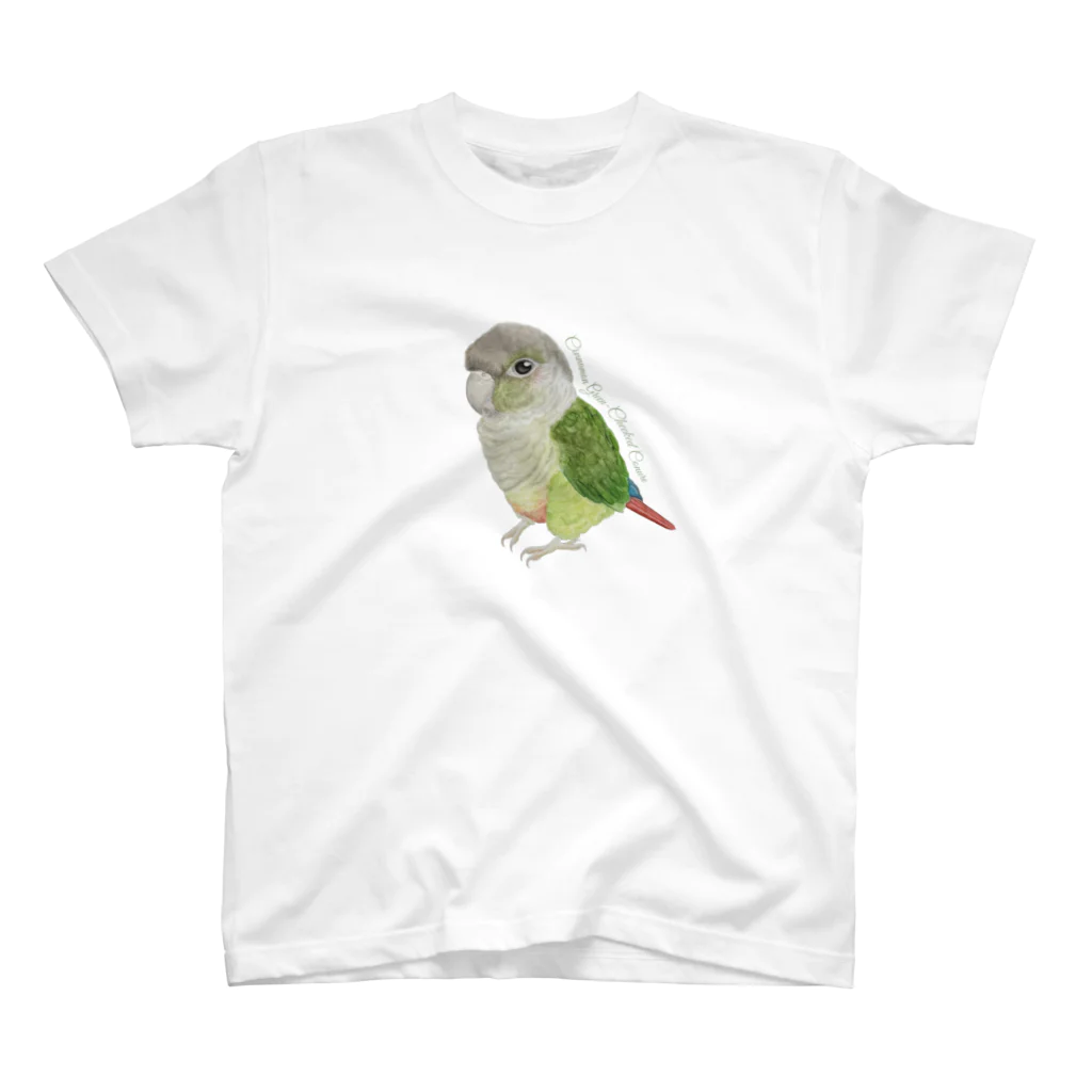 mariechan_koboの107 ウロコインコシナモン simple スタンダードTシャツ