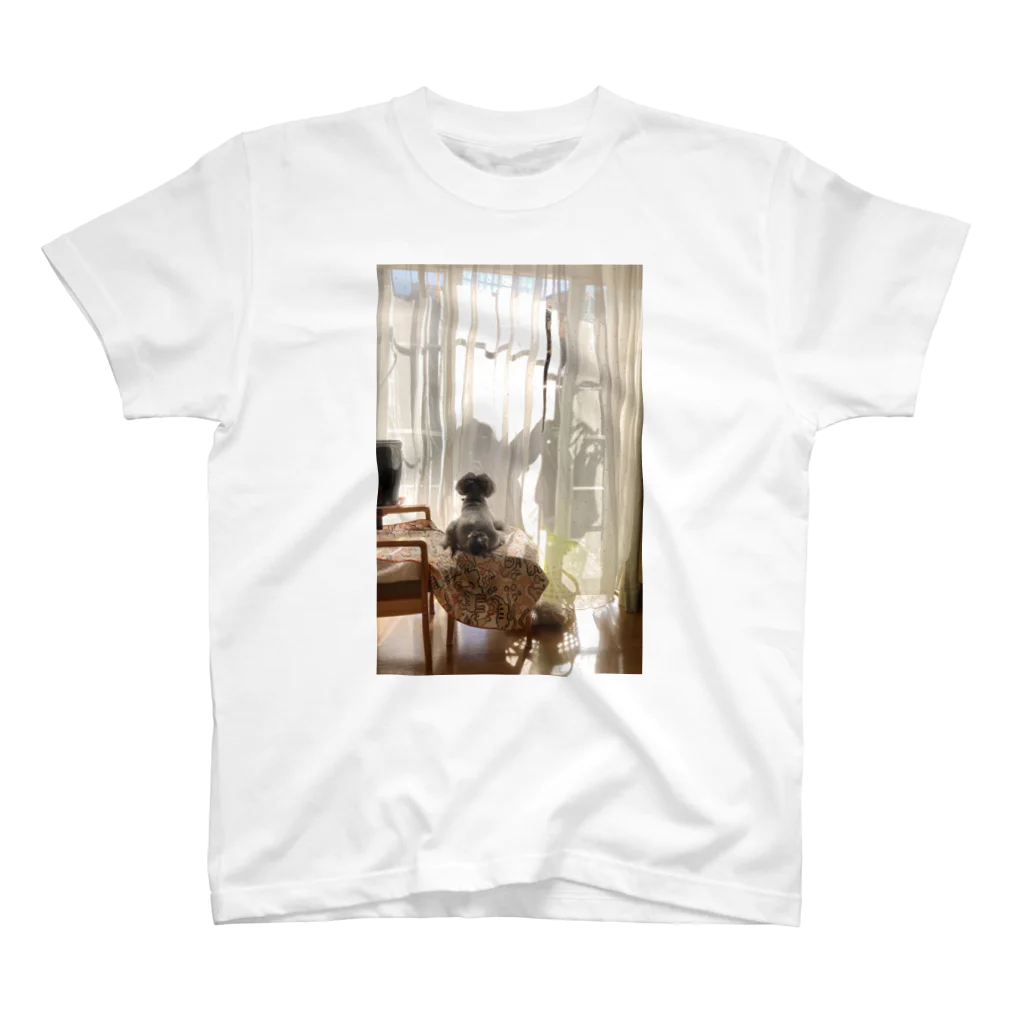 愛犬のグッズの日だまり Regular Fit T-Shirt