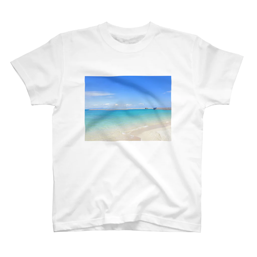 nature islandのKUROSHIMA ISLAND スタンダードTシャツ