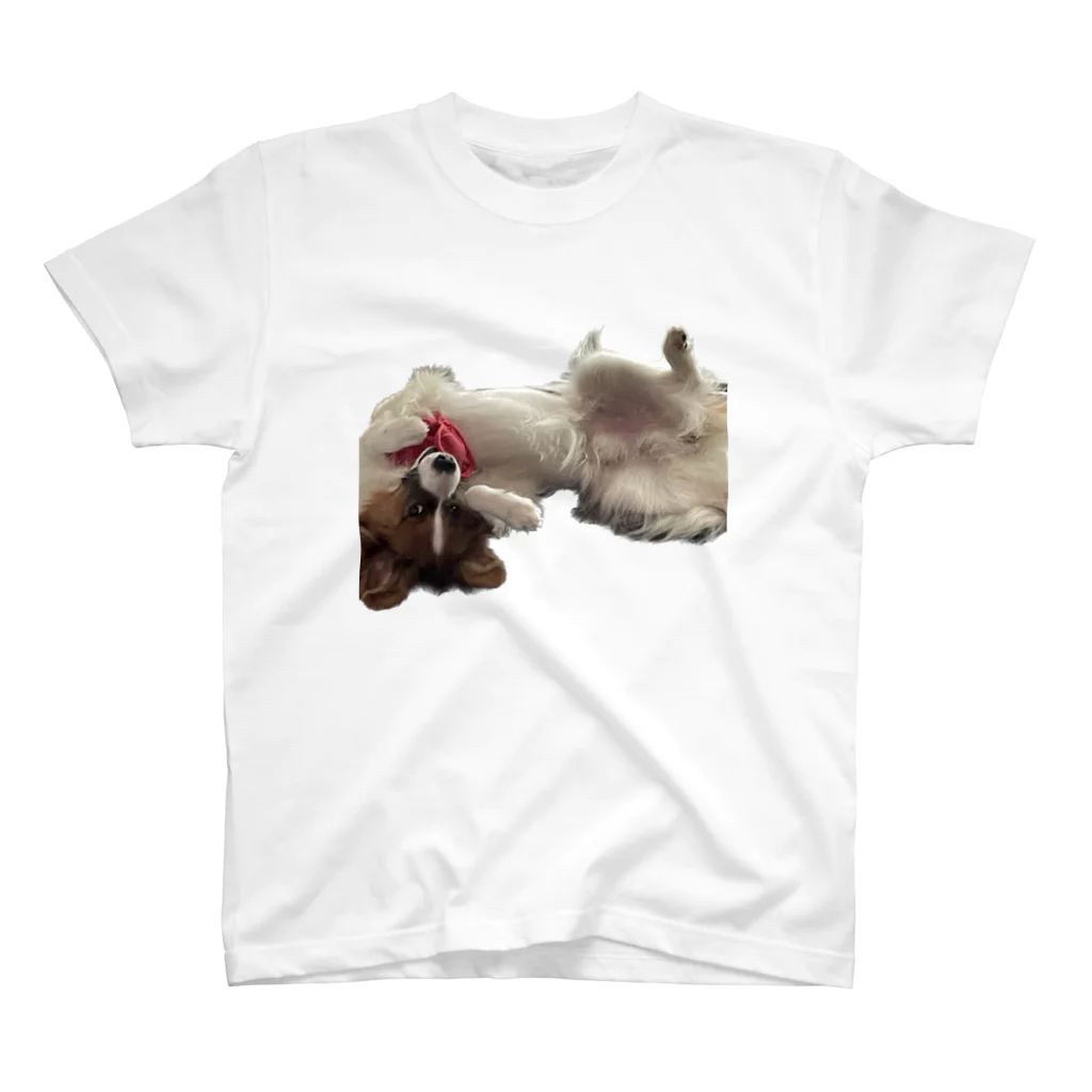 犬だよのセクシー犬 スタンダードTシャツ