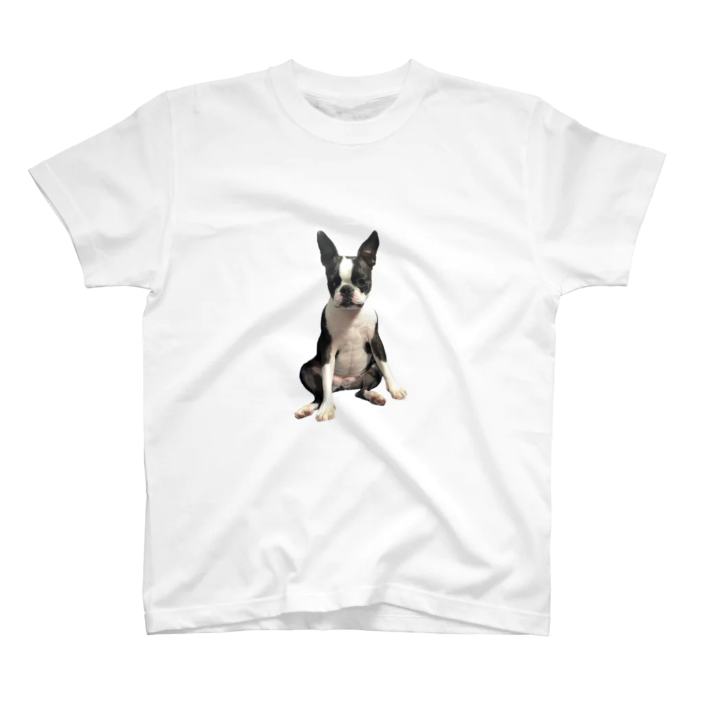 アビ屋さんの座るの下手犬 Regular Fit T-Shirt