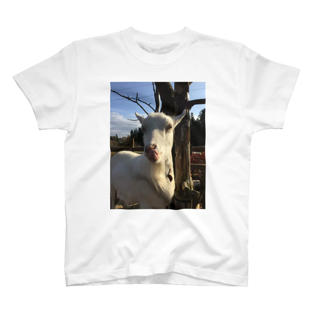 ねっころの舌なめずりヤギ Regular Fit T-Shirt