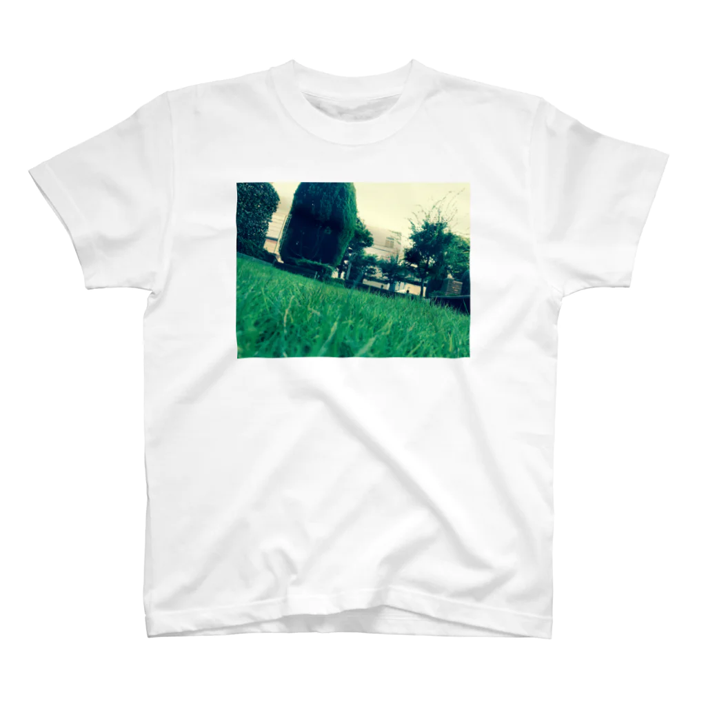 kin_love_terabeの緑緑町には緑 スタンダードTシャツ