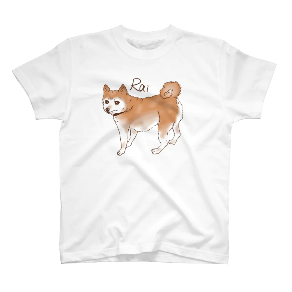 ゆきしばらいのしばいぬらい スタンダードTシャツ