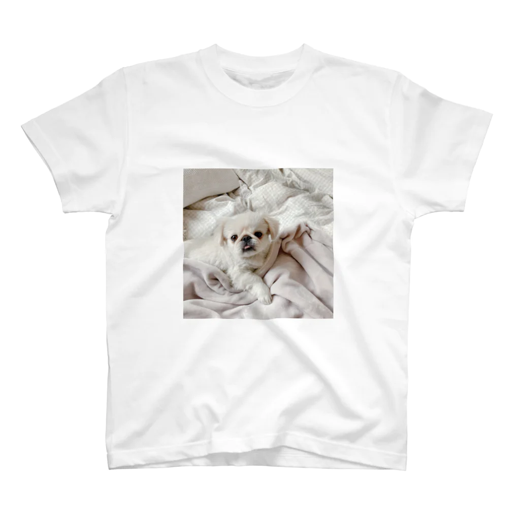 uchinoinumiteの添い寝に誘う犬 スタンダードTシャツ