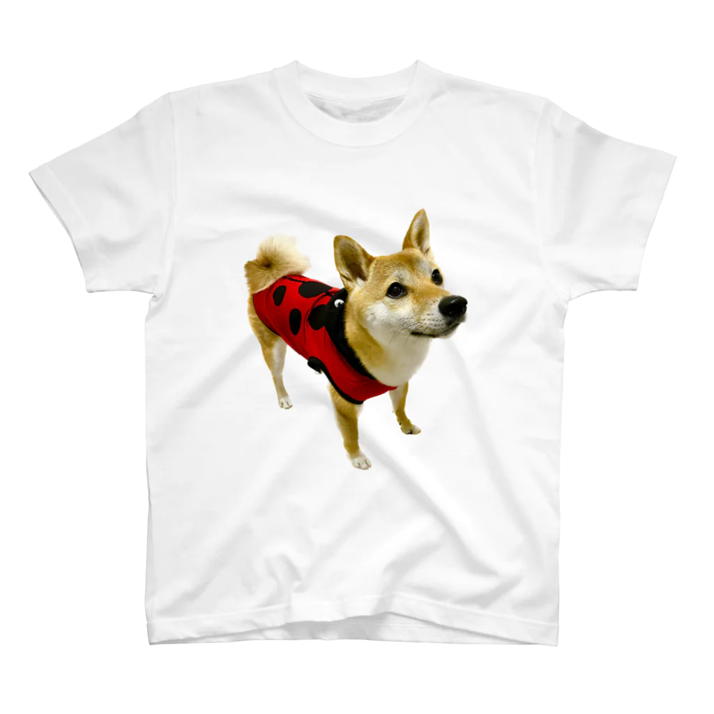 柴犬おかゆのグッズ販売店のてんとうむし　おかゆ Regular Fit T-Shirt