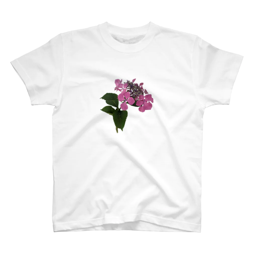 Ficusの紫陽花 スタンダードTシャツ