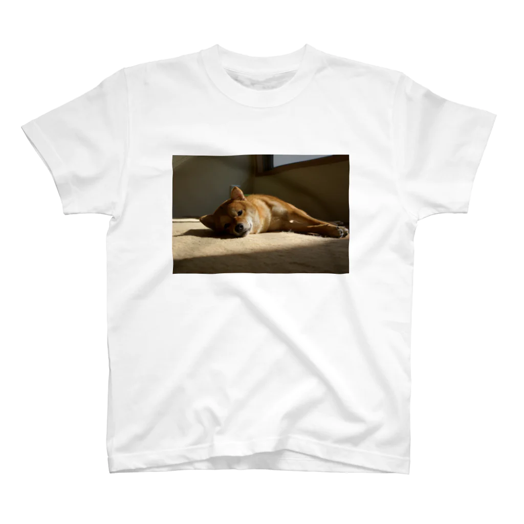 朔工房の夕焼けの柴犬 スタンダードTシャツ