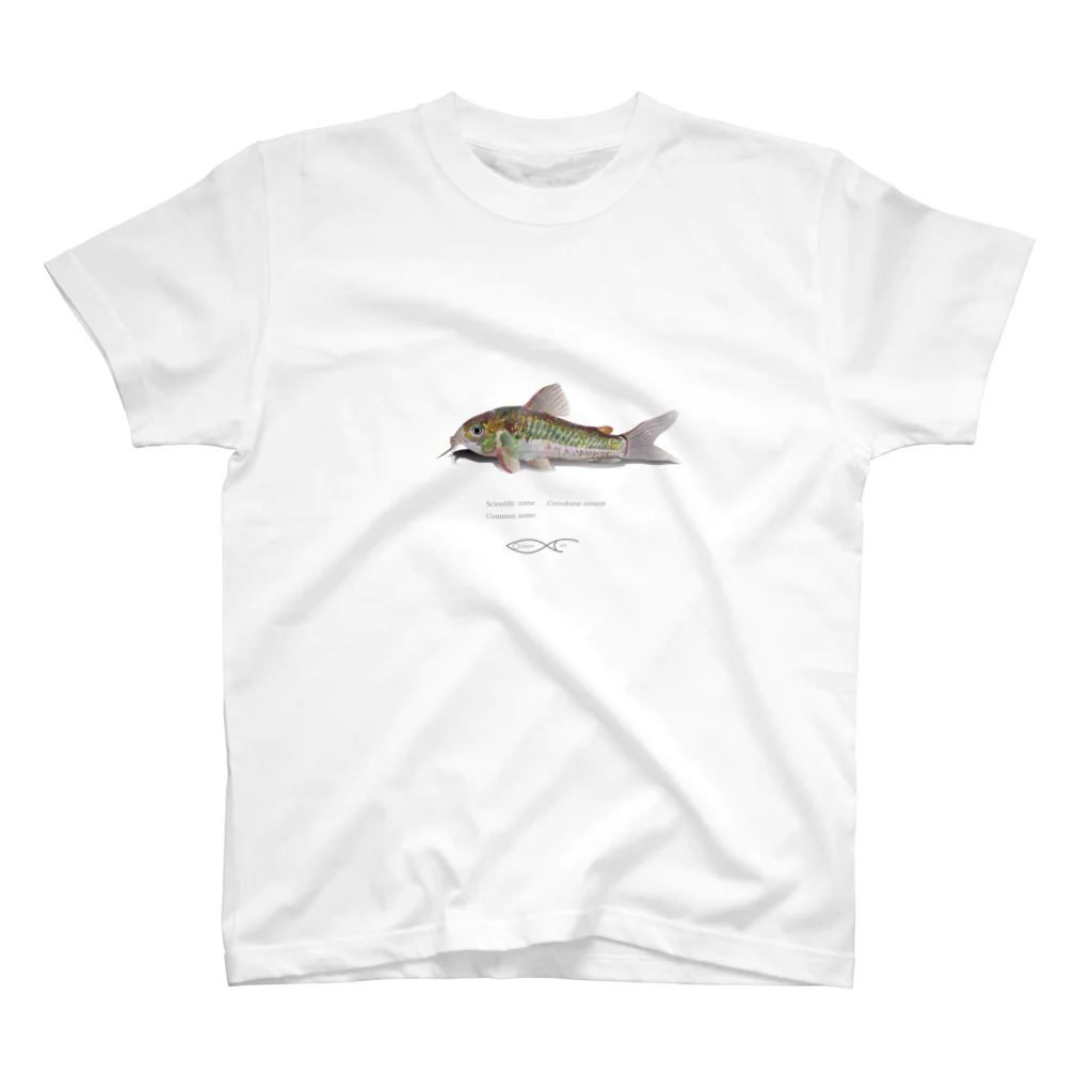 Osakana CraftのCorydoras aeneus スタンダードTシャツ