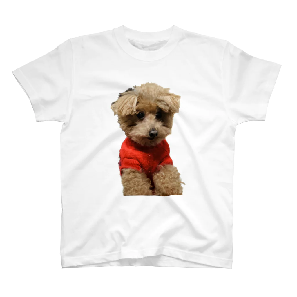 ぷ〜の家の犬の日常 Regular Fit T-Shirt