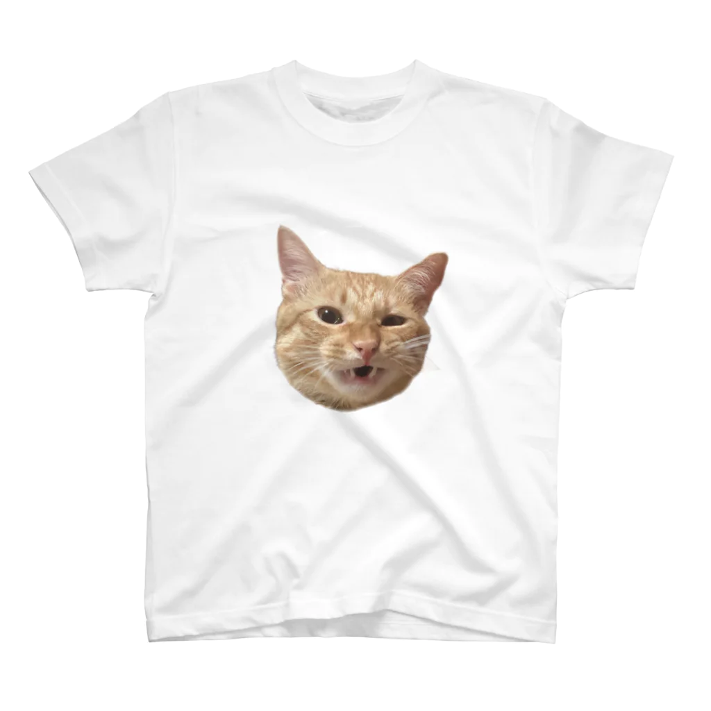 にゃんまにあのやんのか猫 Regular Fit T-Shirt