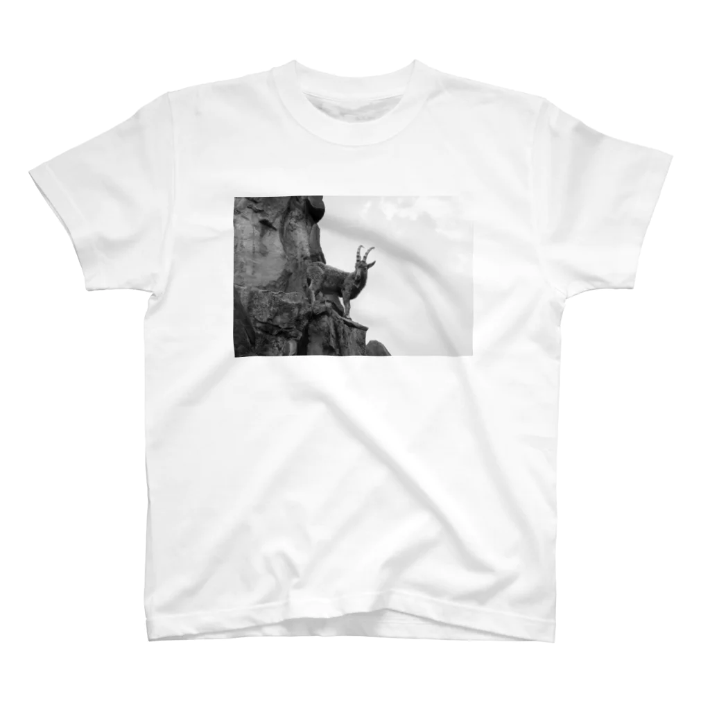 City View KのBerlin Zoologischer Garten 1 スタンダードTシャツ