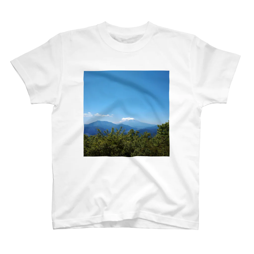 FujiyamafujiyaのFujiyama 1 Regular Fit T-Shirt