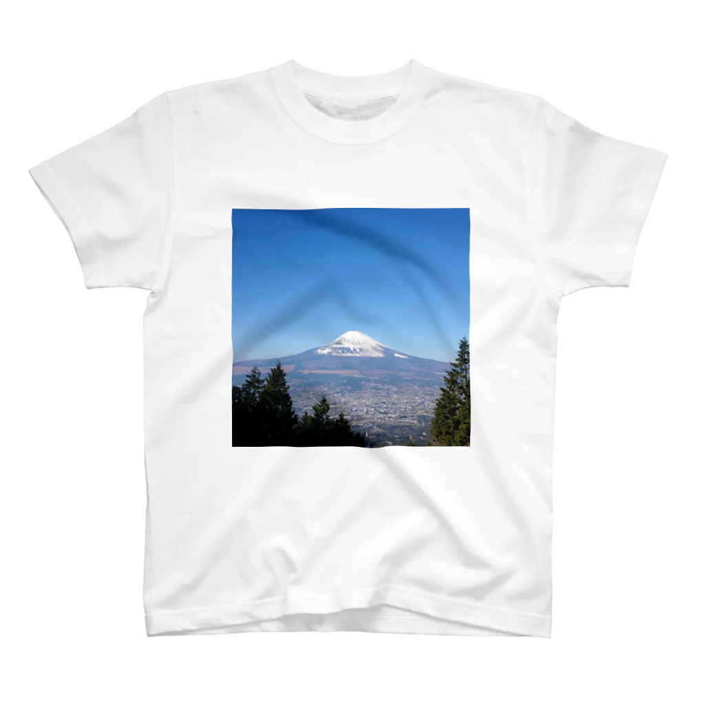 FujiyamafujiyaのFujiyama 5 スタンダードTシャツ