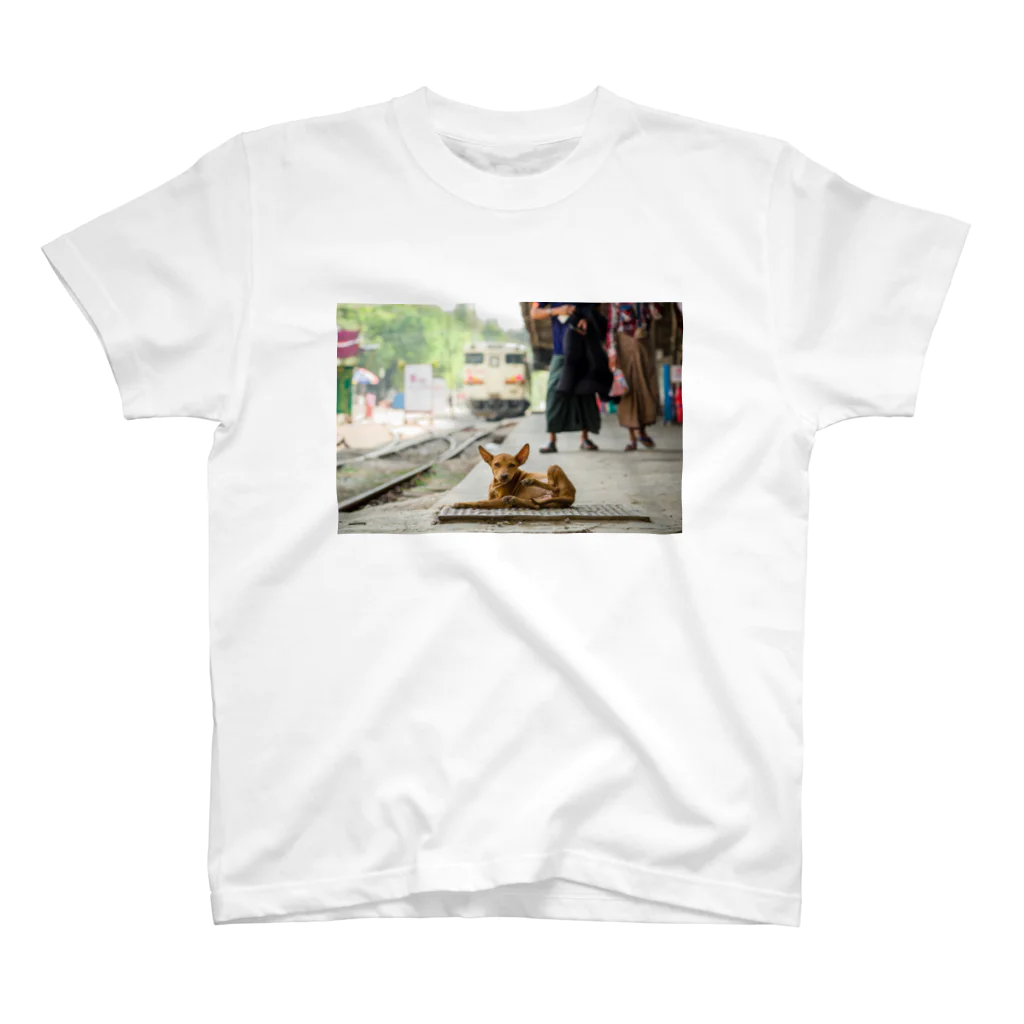 Second_Life_of_Railwaysのマンダレー駅に住む子犬とキハ40系 Regular Fit T-Shirt