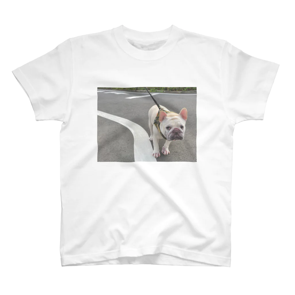 ロキの店の歩行拒否犬 Regular Fit T-Shirt