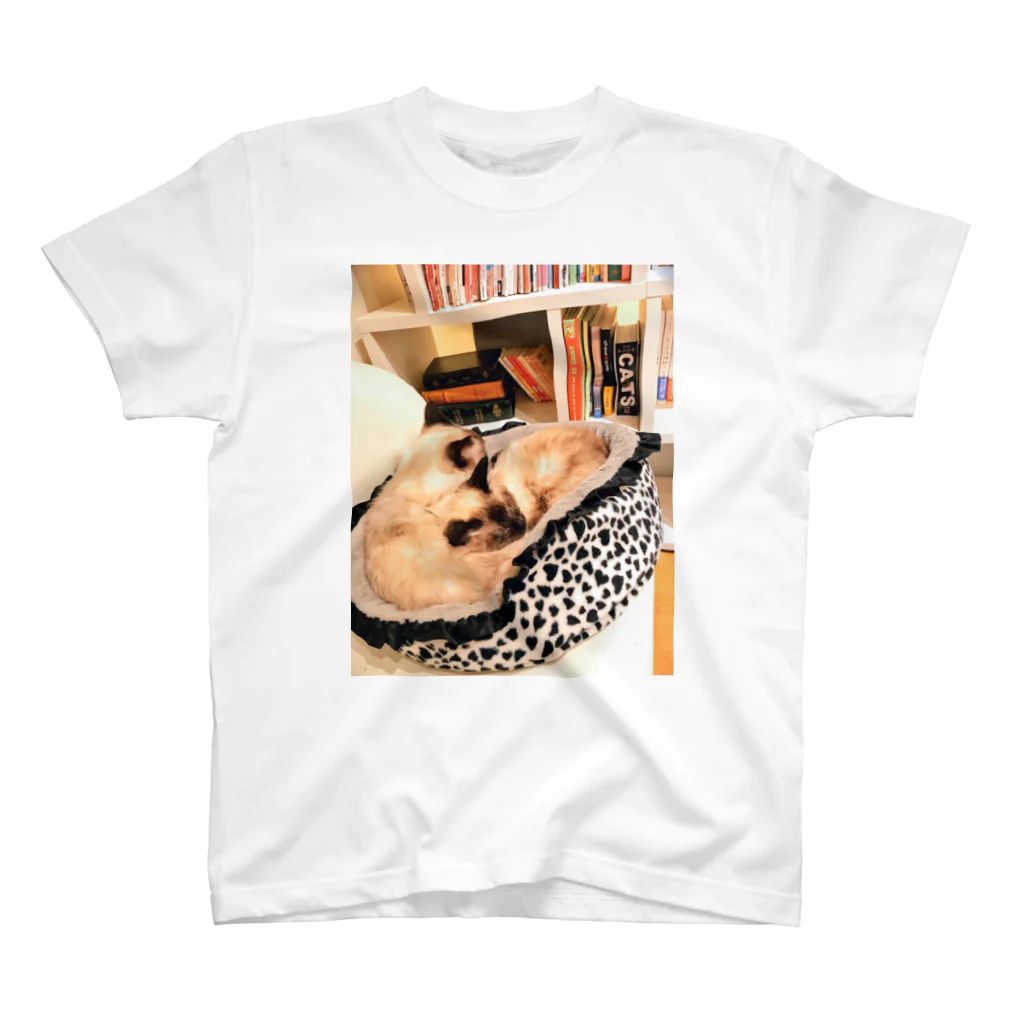 キマグレでキマグレのネコと本棚 スタンダードTシャツ