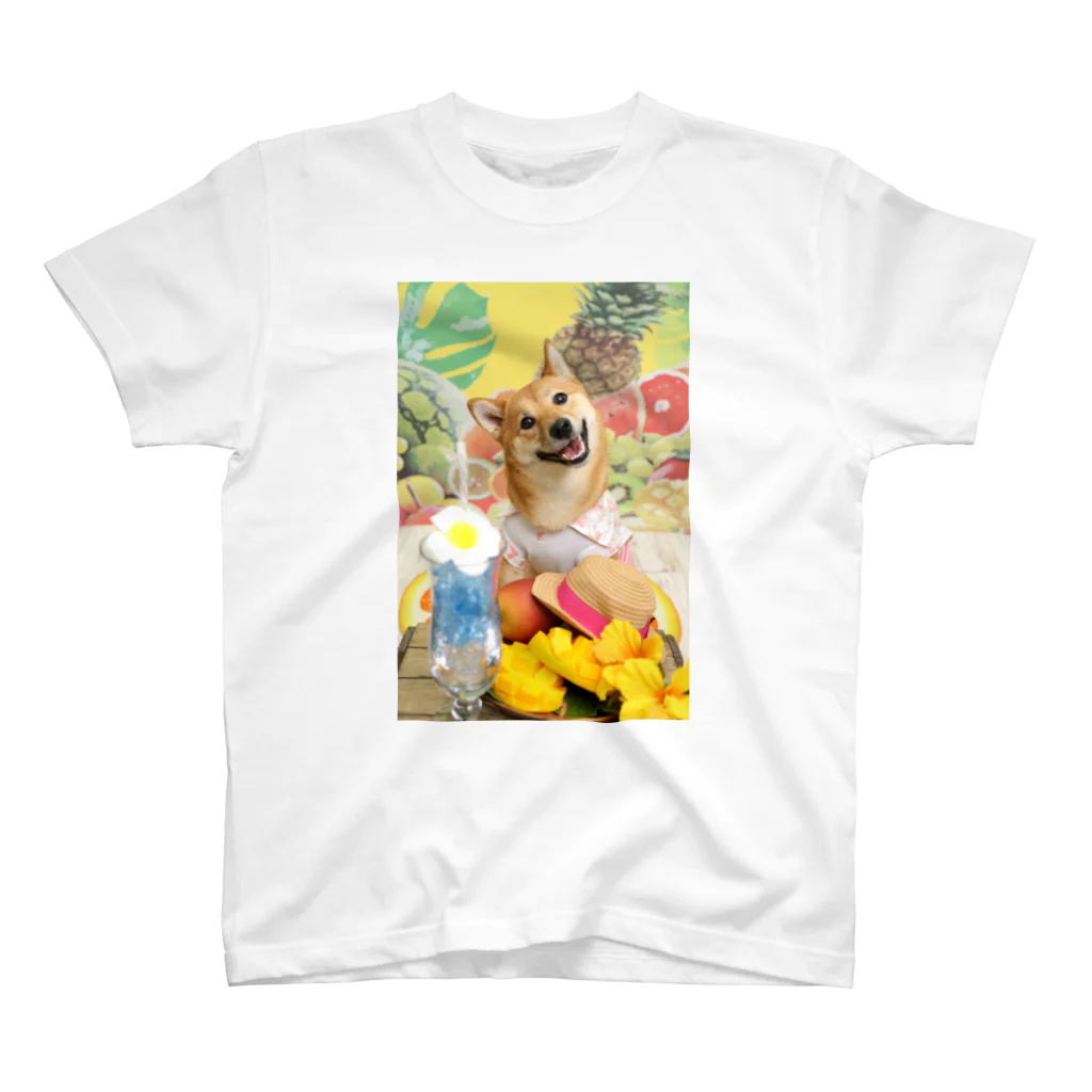 柴犬グッズ専門店 あられ堂の柴犬　真夏のリゾート001 Regular Fit T-Shirt