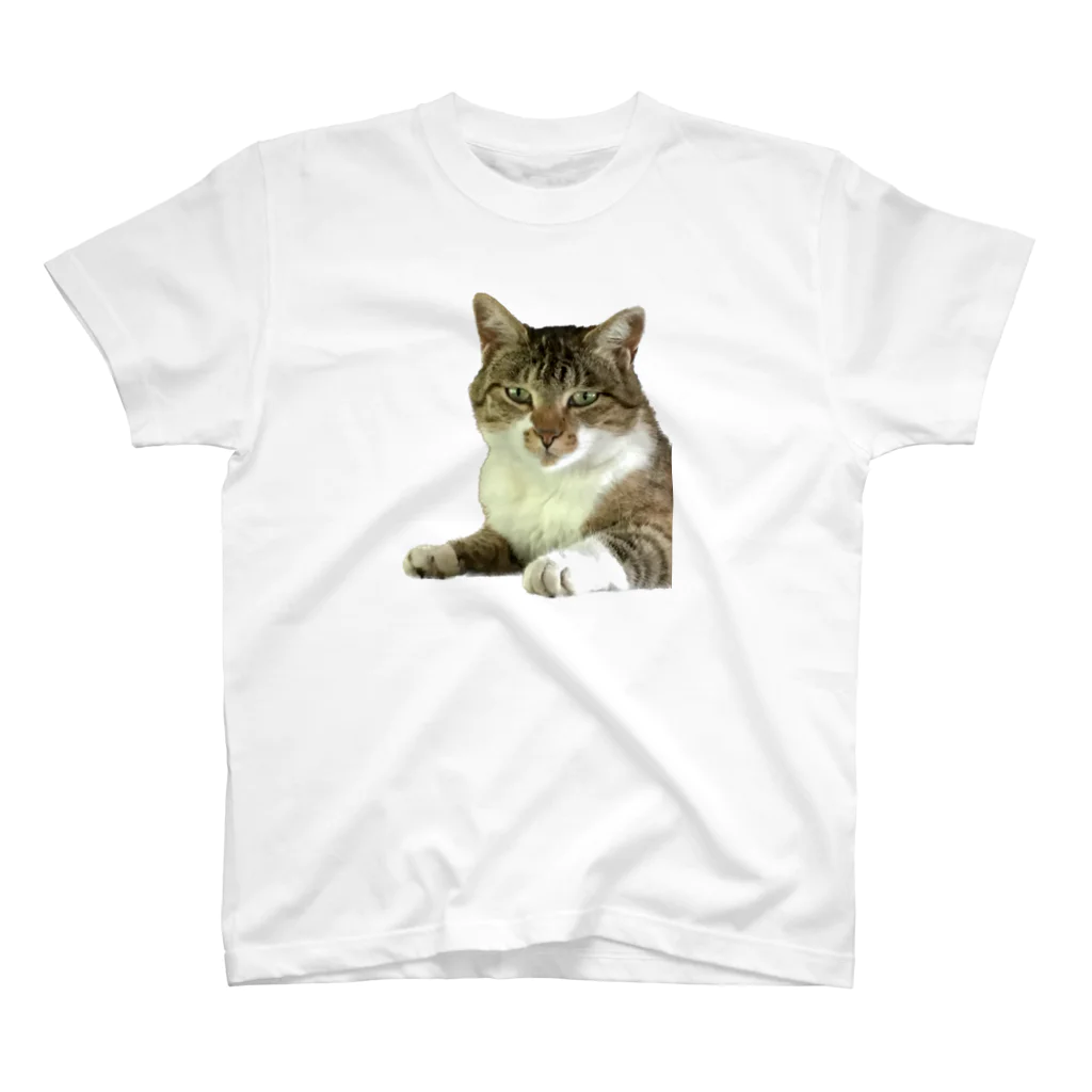 SHOPひばさんのキリッとした顔のねこ Regular Fit T-Shirt