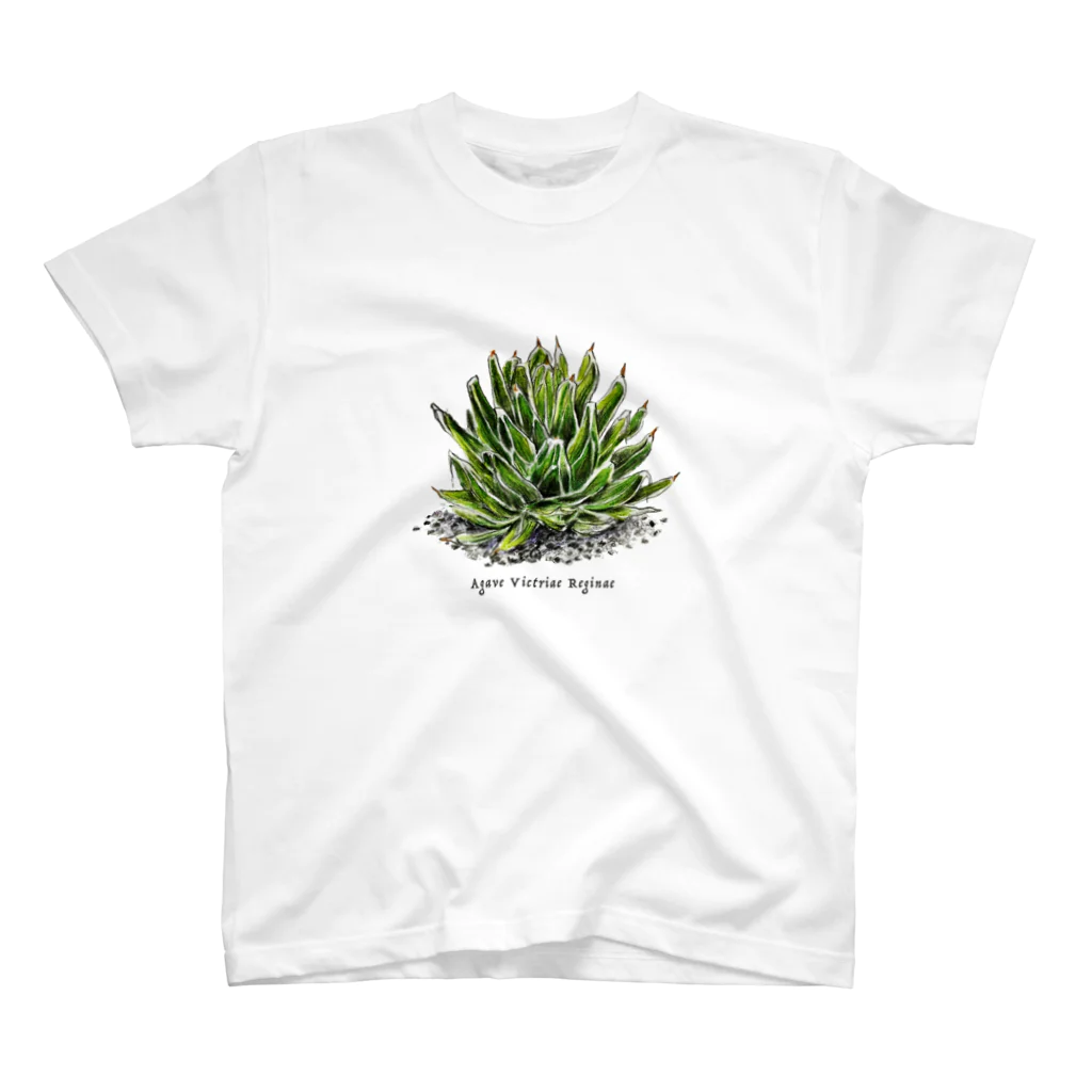 plants_junのAgave Victriae Reginae スタンダードTシャツ