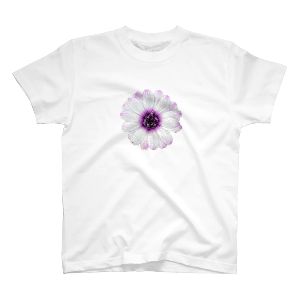 SHOPひばさんのひばさんの花壇 スタンダードTシャツ