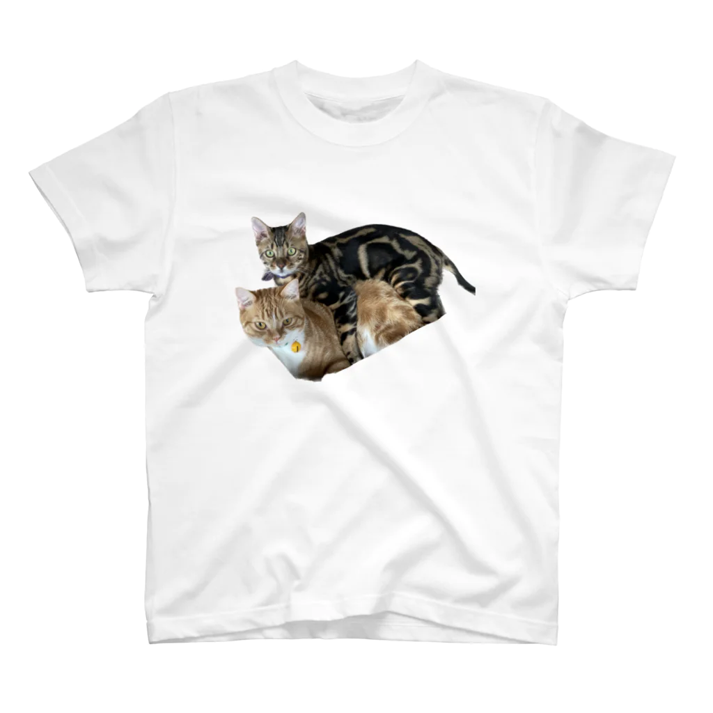 いくママ 猫との毎日の仲良し スタンダードTシャツ