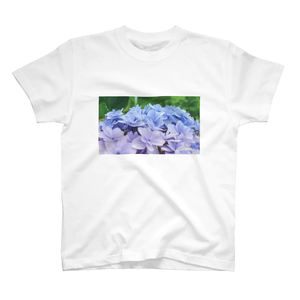 ナオンなおなおの紫陽花グラデーション スタンダードTシャツ