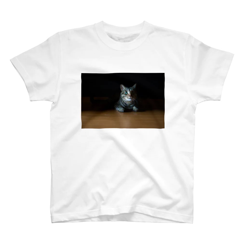 HAL05の影からこちらを覗く猫 スタンダードTシャツ
