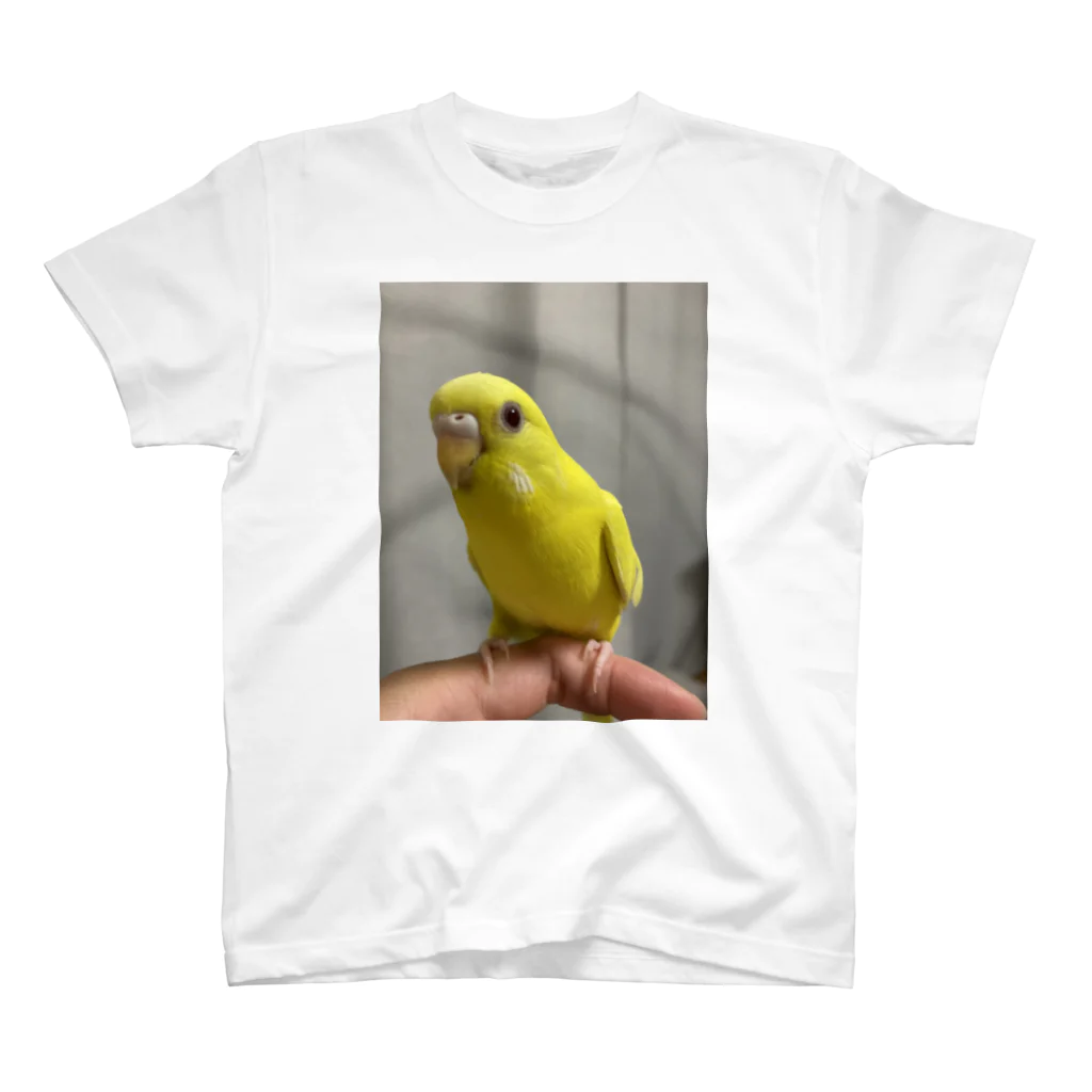 そらゆめインコのルチノーインコ Regular Fit T-Shirt