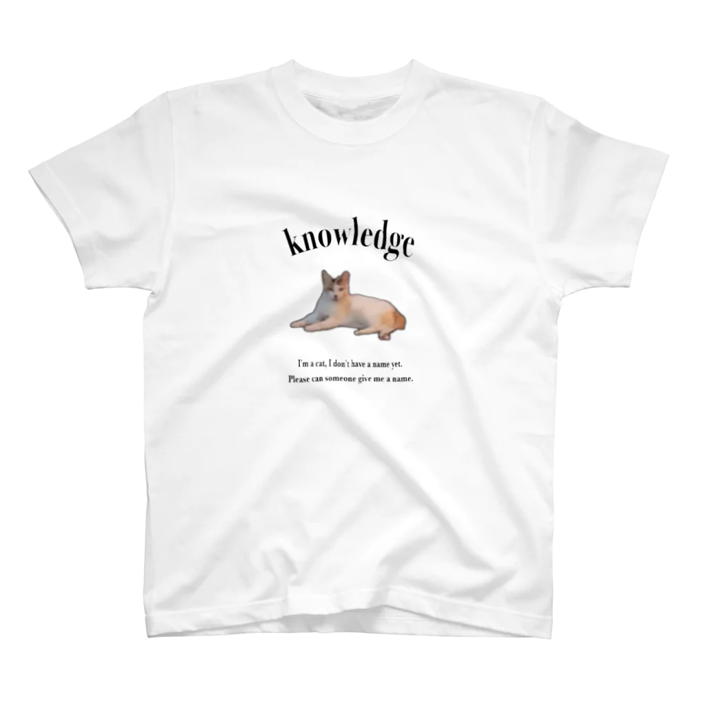 knowledgeのI don't have a name yet. スタンダードTシャツ