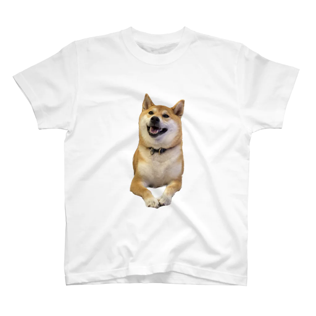 SHIBAOOOOOの柴犬のしばおくん　おすまし スタンダードTシャツ