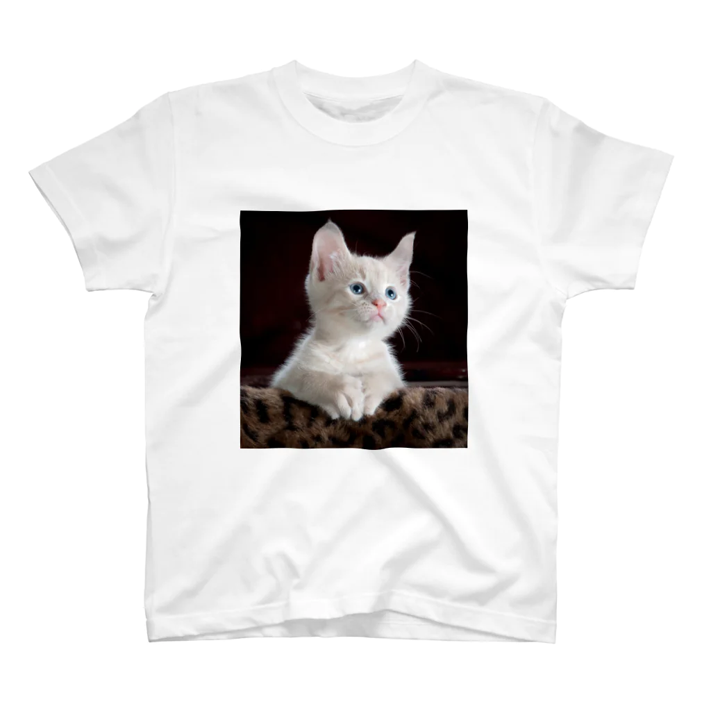 猫アートグッズのTy Swartz《A focused kitten》 スタンダードTシャツ
