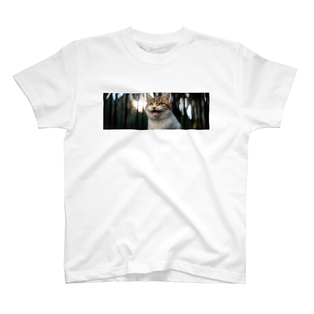 kinoshitasouの森の中で子猫がニャーン♪ Regular Fit T-Shirt
