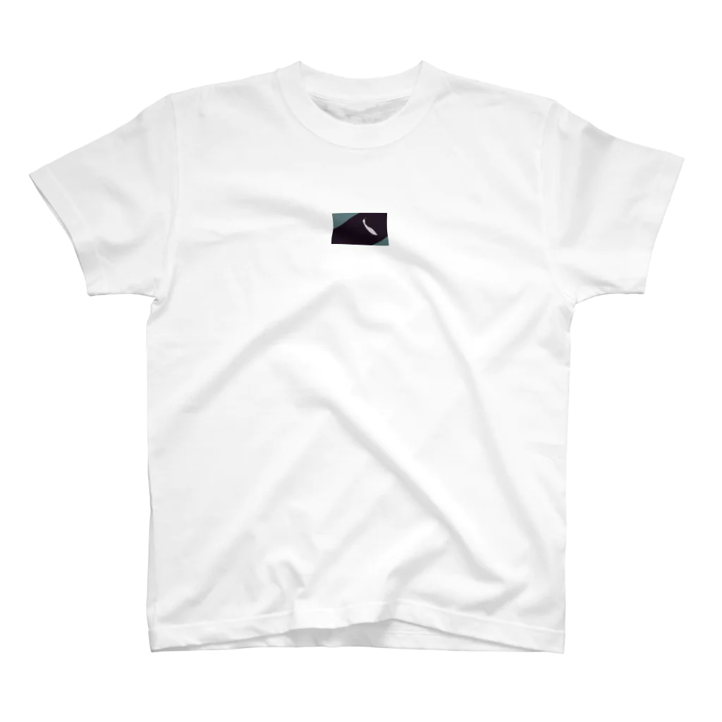 12Rの住人《nyaojet》のSEAQUE スタンダードTシャツ