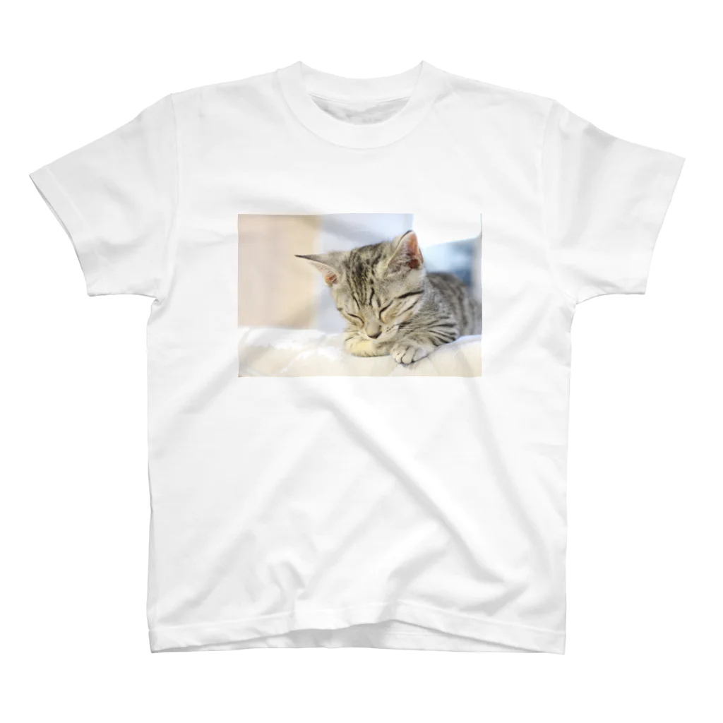 キティのおひるね子猫（マンチカン） スタンダードTシャツ