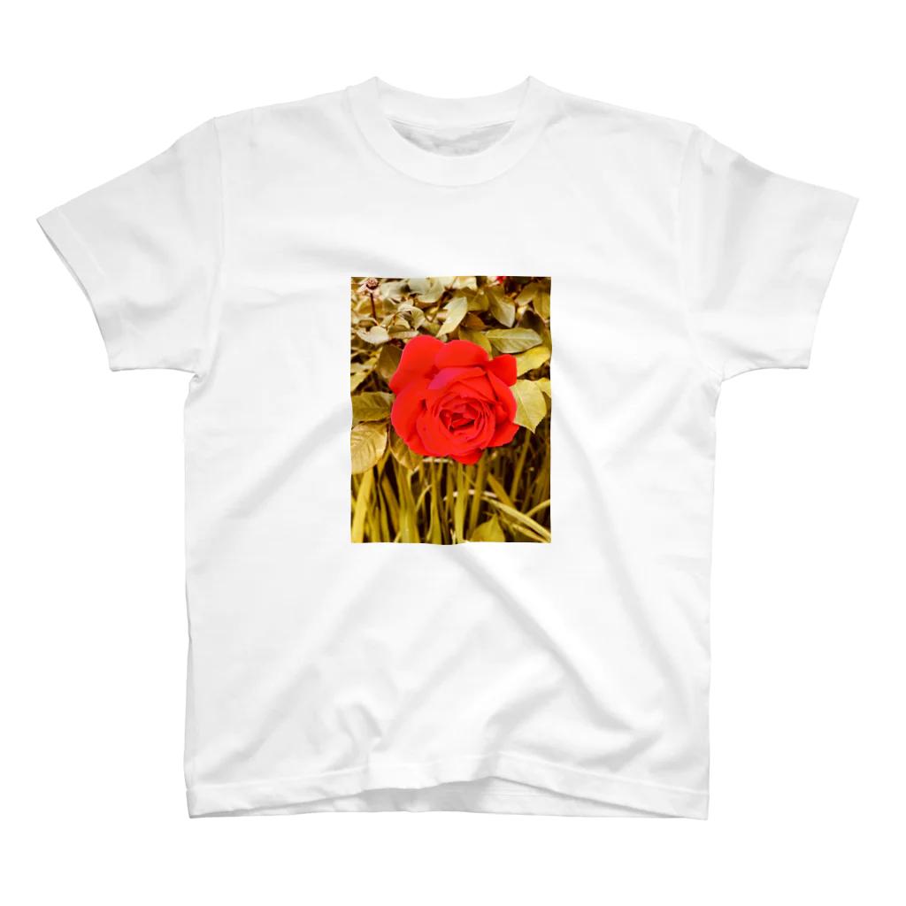 Strawberryのバラの花Tシャツ Regular Fit T-Shirt