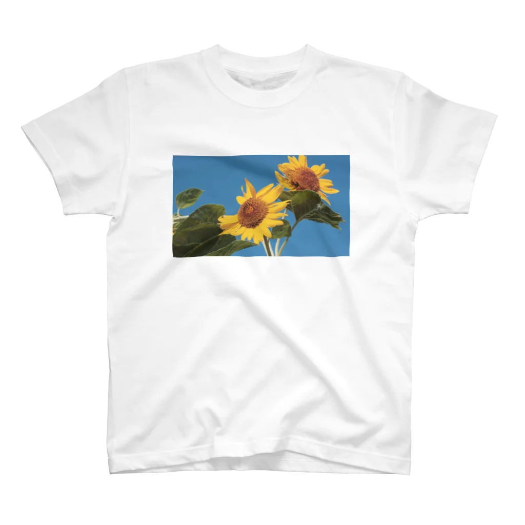 akane_art（茜音工房）の癒しの風景（ヒマワリ） スタンダードTシャツ