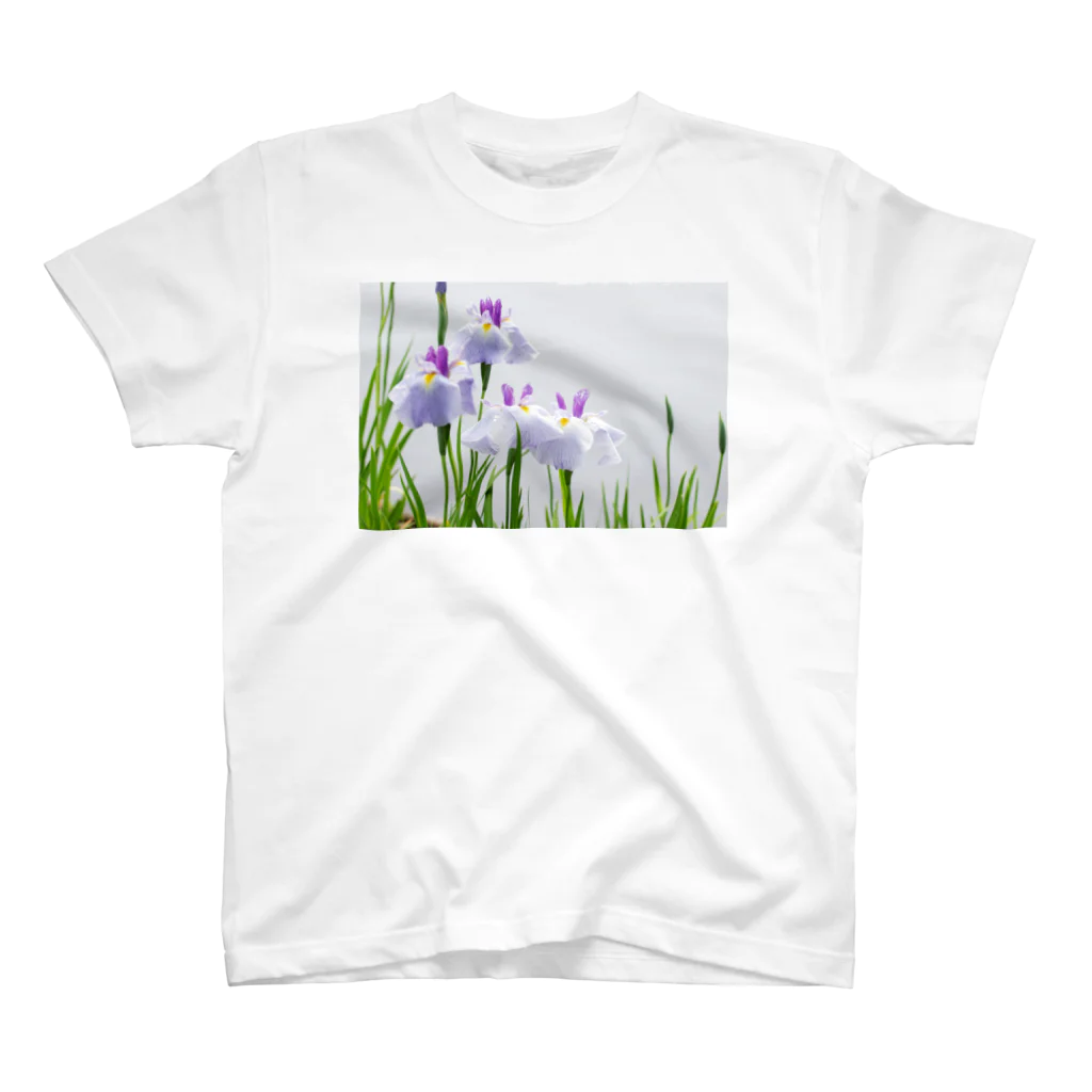 akane_art（茜音工房）の癒しの風景（花菖蒲） Regular Fit T-Shirt