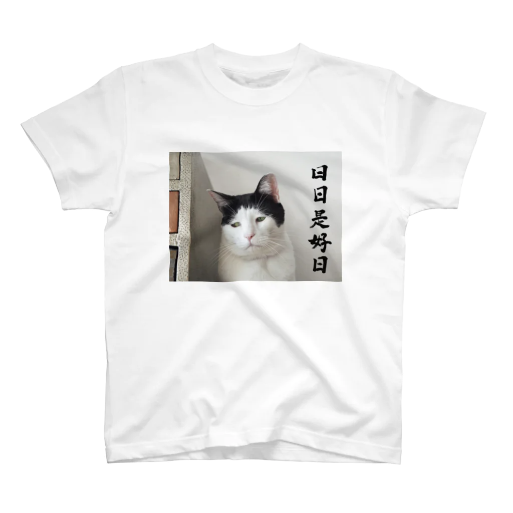 パンチョとガバチョのパンチョ日日是好日 スタンダードTシャツ